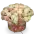 Box růží